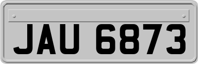 JAU6873