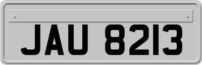 JAU8213