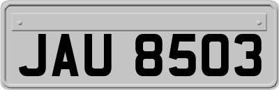 JAU8503