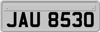 JAU8530