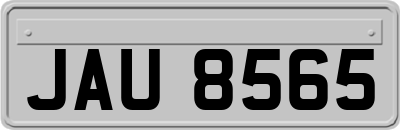 JAU8565