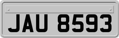 JAU8593