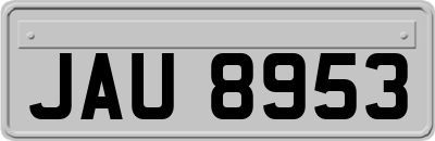 JAU8953