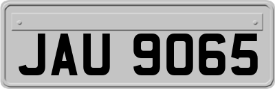 JAU9065