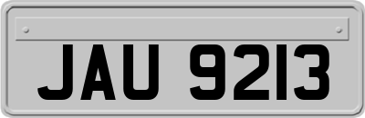 JAU9213