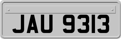 JAU9313