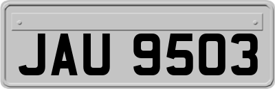 JAU9503