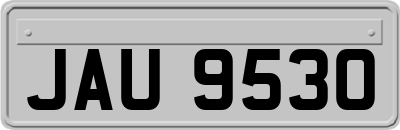 JAU9530