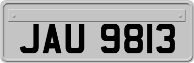 JAU9813