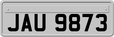 JAU9873