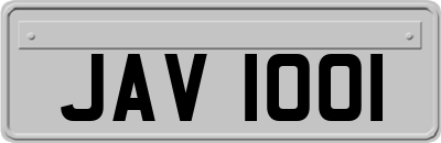JAV1001