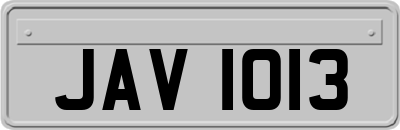 JAV1013