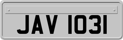 JAV1031