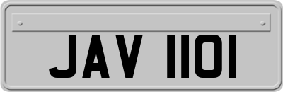 JAV1101