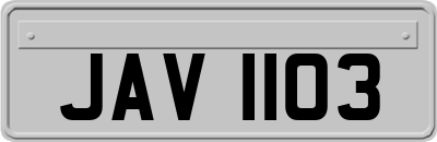 JAV1103
