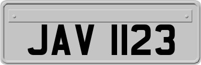 JAV1123