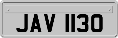 JAV1130