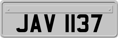 JAV1137