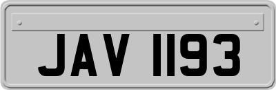 JAV1193