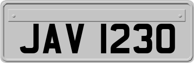 JAV1230