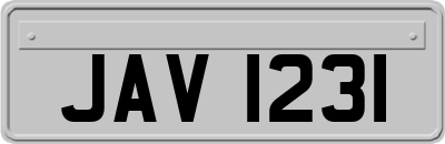 JAV1231