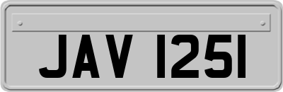JAV1251