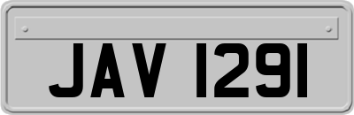 JAV1291