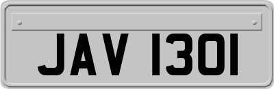 JAV1301