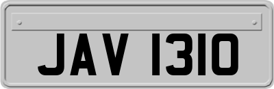 JAV1310