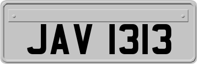 JAV1313