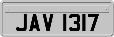JAV1317