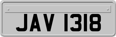 JAV1318