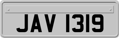 JAV1319