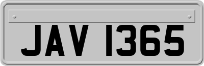 JAV1365