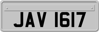JAV1617