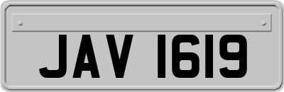 JAV1619
