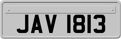 JAV1813