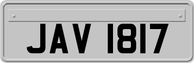 JAV1817