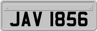 JAV1856