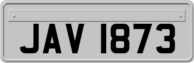 JAV1873