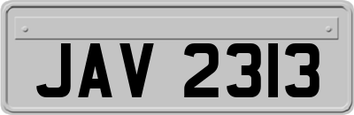 JAV2313