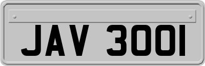 JAV3001