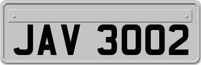 JAV3002
