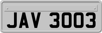 JAV3003