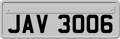 JAV3006