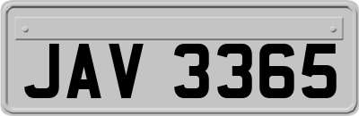 JAV3365