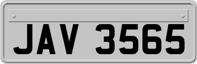 JAV3565