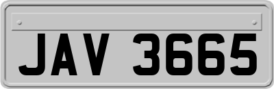 JAV3665