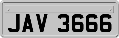 JAV3666