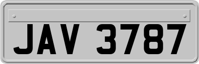 JAV3787